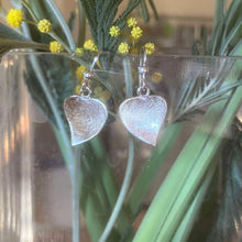 Boucles d'oreilles argent brossé mat